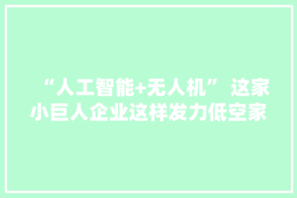 “人工智能+无人机” 这家小巨人企业这样发力低空家当_无人机_低空