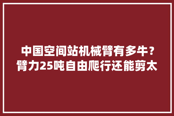 中国空间站机械臂有多牛？臂力25吨自由爬行还能剪太阳翼？_机械_空间站