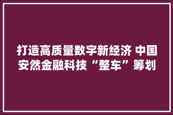 打造高质量数字新经济 中国安然金融科技“整车”筹划亮相2021世界人工智能大年夜会_安然_金融 绘影字幕