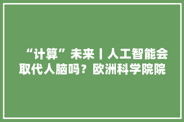 “计算”未来丨人工智能会取代人脑吗？欧洲科学院院士这样说_人工智能_汗青数据 计算机