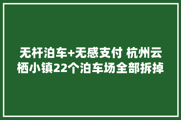 无杆泊车+无感支付 杭州云栖小镇22个泊车场全部拆掉落进出道闸_新生儿_车位 计算机