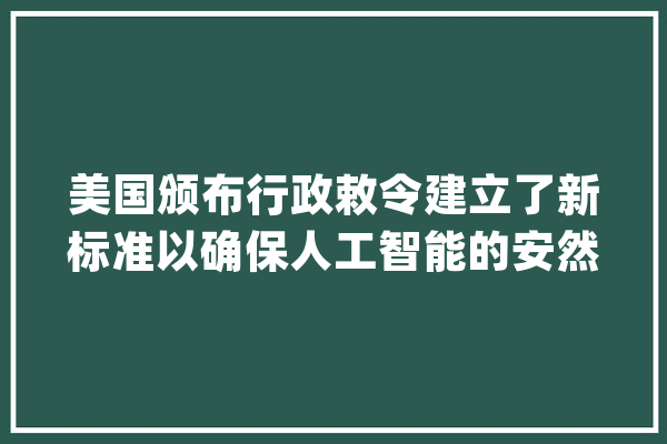 美国颁布行政敕令建立了新标准以确保人工智能的安然性、靠得住性和信赖性_人工智能_美国 AI快讯