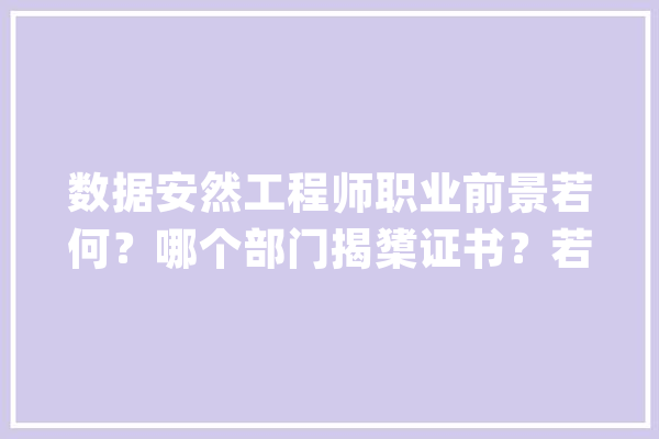 数据安然工程师职业前景若何？哪个部门揭橥证书？若何取得证书？_数据_平安工程师 云服务