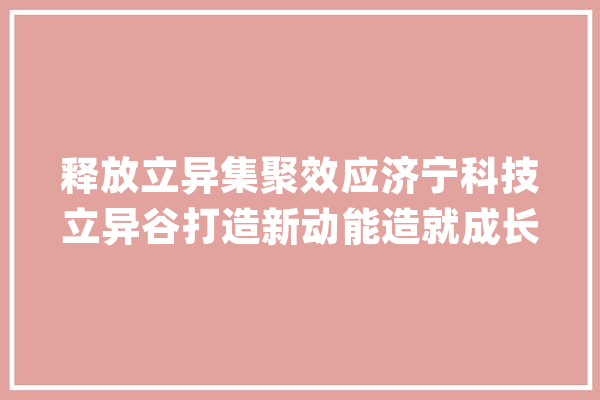 释放立异集聚效应济宁科技立异谷打造新动能造就成长核心载体_济宁_家当