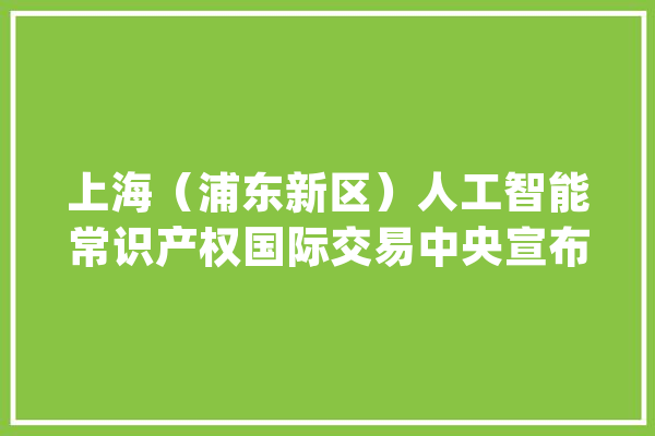 上海（浦东新区）人工智能常识产权国际交易中央宣布成立_人工智能_中国 AI快讯