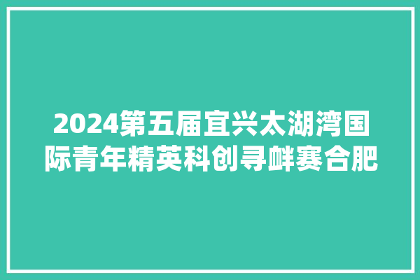 2024第五届宜兴太湖湾国际青年精英科创寻衅赛合肥城市赛开赛_家当_合肥 AI简讯