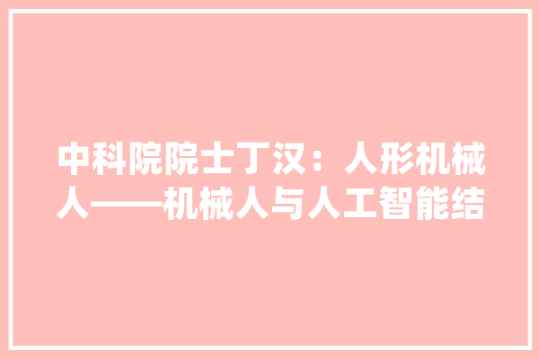 中科院院士丁汉：人形机械人——机械人与人工智能结合的爆发点_机械人_技巧 绘影字幕