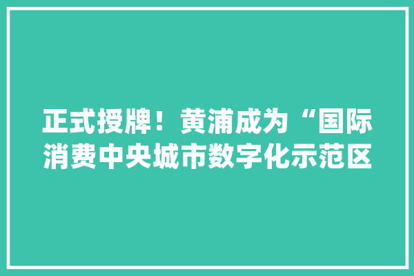 正式授牌！黄浦成为“国际消费中央城市数字化示范区”_黄浦_数字
