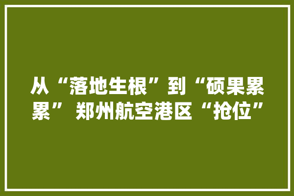 从“落地生根”到“硕果累累” 郑州航空港区“抢位”人工智能新赛道_郑州_人工智能 智能助手