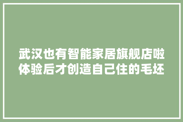 武汉也有智能家居旗舰店啦体验后才创造自己住的毛坯房？_智能_武汉 AI简讯