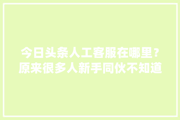 今日头条人工客服在哪里？原来很多人新手同伙不知道手把手教你_所示_客服 AI快讯