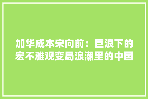 加华成本宋向前：巨浪下的宏不雅观变局浪潮里的中国消费丨WISE2020新经济之王新成本峰会_中国_都是 智能问答