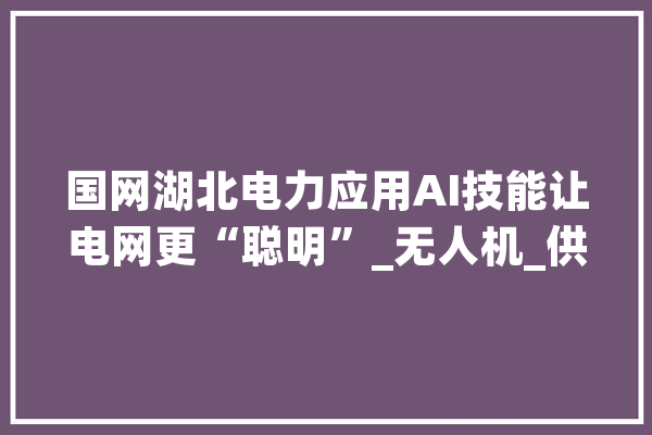 国网湖北电力应用AI技能让电网更“聪明”_无人机_供给链 云服务