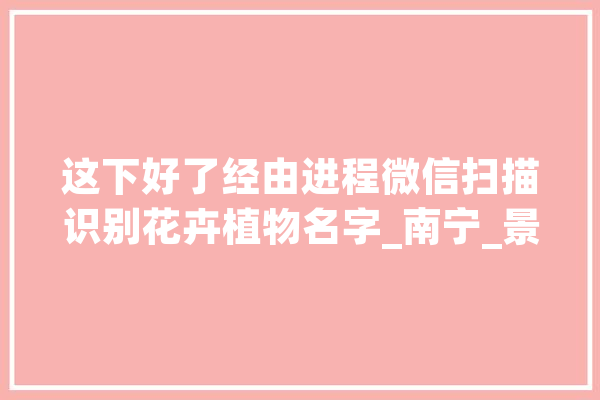 这下好了经由进程微信扫描识别花卉植物名字_南宁_景致区 AI简讯