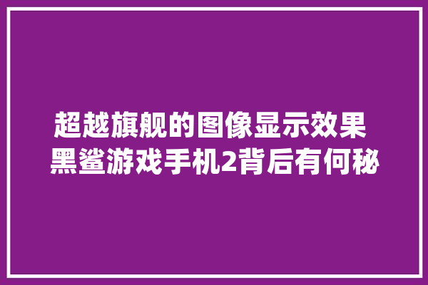 超越旗舰的图像显示效果 黑鲨游戏手机2背后有何秘密_图像处置_芯片