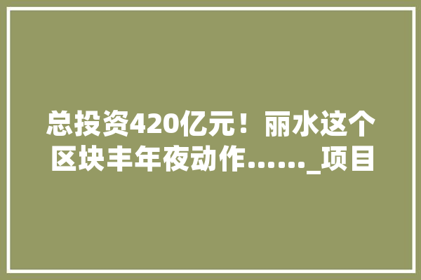 总投资420亿元！丽水这个区块丰年夜动作……_项目_家当 计算机