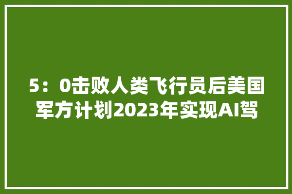 5：0击败人类飞行员后美国军方计划2023年实现AI驾驶真飞机空战_空战_项目