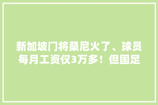新加坡门将桑尼火了、球员每月工资仅3万多！但国足工资几百万！_桑尼_足球