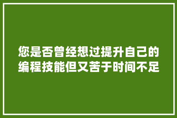 您是否曾经想过提升自己的编程技能但又苦于时间不足..._您的_五分钟 智能写作