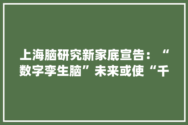 上海脑研究新家底宣告：“数字孪生脑”未来或使“千脑为我所用”_智能_脑科学