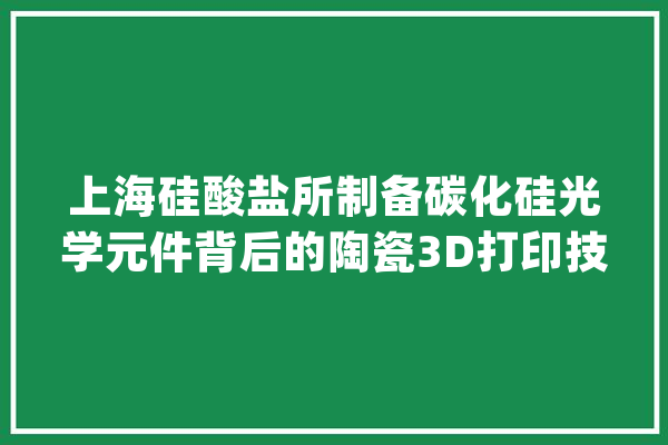 上海硅酸盐所制备碳化硅光学元件背后的陶瓷3D打印技能应用逻辑_陶瓷_碳化硅