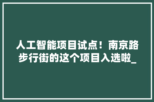 人工智能项目试点！南京路步行街的这个项目入选啦_南京路_商圈