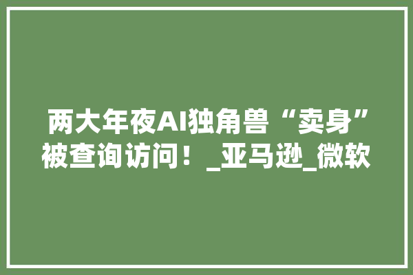 两大年夜AI独角兽“卖身”被查询访问！_亚马逊_微软 绘影字幕