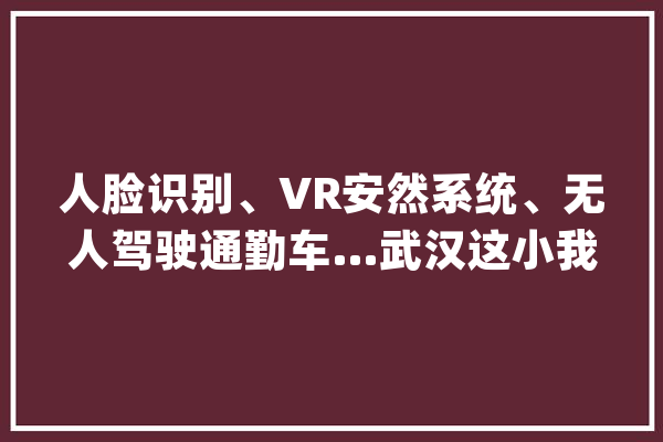 人脸识别、VR安然系统、无人驾驶通勤车…武汉这小我工智能家当园厉害了_聪明_人工智能 文字写作