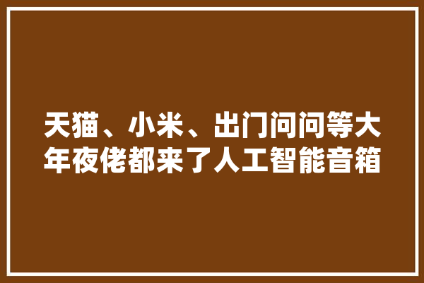 天猫、小米、出门问问等大年夜佬都来了人工智能音箱为啥这么火？_音箱_智能 云服务
