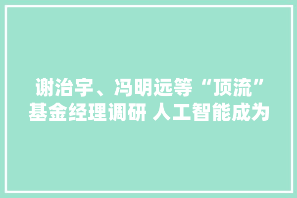 谢治宇、冯明远等“顶流”基金经理调研 人工智能成为“喷鼻香饽饽”_人工智能_家当