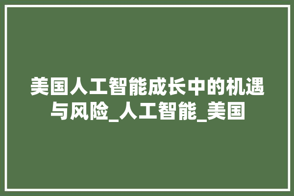 美国人工智能成长中的机遇与风险_人工智能_美国 云服务