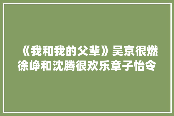 《我和我的父辈》吴京很燃徐峥和沈腾很欢乐章子怡令人惊艳_父辈_章子