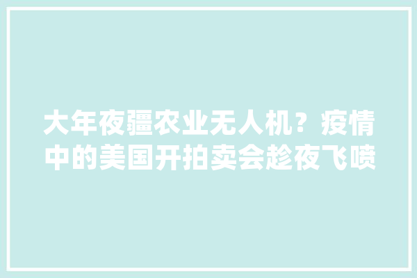 大年夜疆农业无人机？疫情中的美国开拍卖会趁夜飞喷消毒剂_无人机_的是 科技快讯