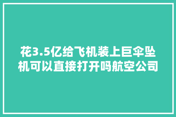 花3.5亿给飞机装上巨伞坠机可以直接打开吗航空公司陷入两难_下降伞_飞机 绘影字幕