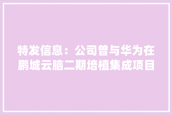 特发信息：公司曾与华为在鹏城云脑二期培植集成项目和许昌华夏人工智能算力中央等项目或产品有落地合作_项目_中心 文字写作