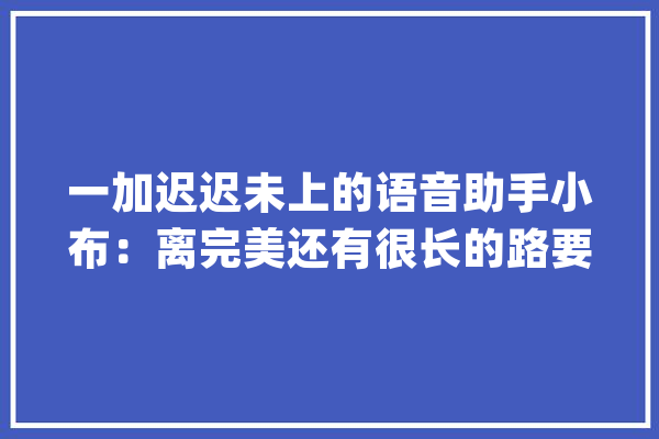 一加迟迟未上的语音助手小布：离完美还有很长的路要走_语音_助手 文字写作