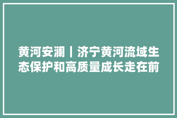 黄河安澜｜济宁黄河流域生态保护和高质量成长走在前_梁山县_梁山