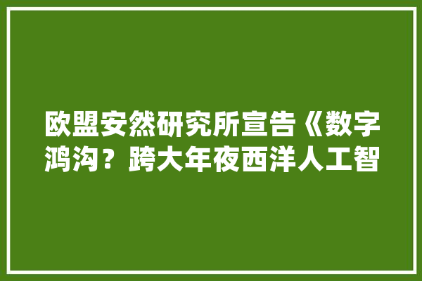 欧盟安然研究所宣告《数字鸿沟？跨大年夜西洋人工智能防御合作》申报_人工智能_计策