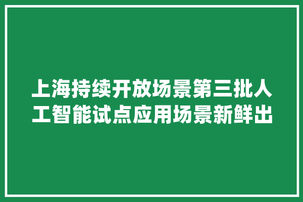 上海持续开放场景第三批人工智能试点应用场景新鲜出炉_人工智能_上海 云服务