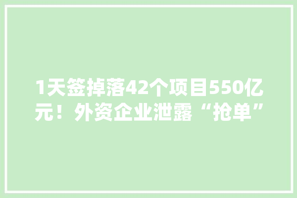 1天签掉落42个项目550亿元！外资企业泄露“抢单”上海的四大年夜情由_上海_家当 绘影字幕