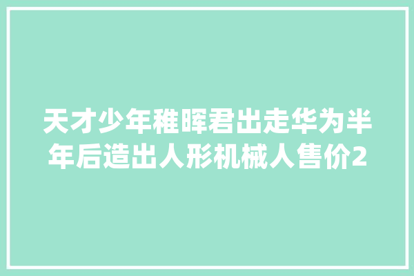 天才少年稚晖君出走华为半年后造出人形机械人售价20万_机械人_人形 科技快讯