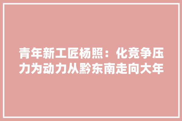 青年新工匠杨照：化竞争压力为动力从黔东南走向大年夜湾区工匠舞台_顺德_智能