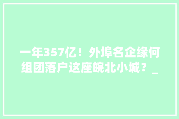 一年357亿！外埠名企缘何组团落户这座皖北小城？_萧县_亿元 文字写作