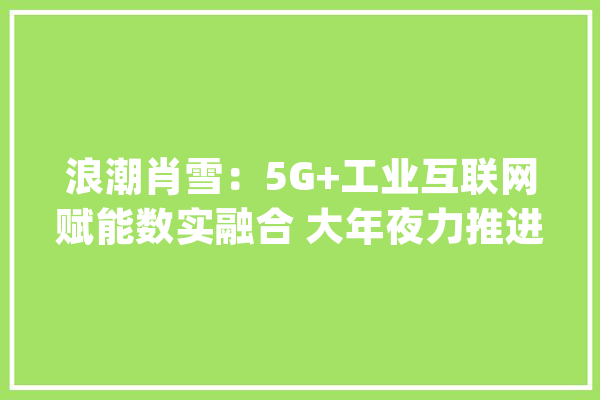 浪潮肖雪：5G+工业互联网赋能数实融合 大年夜力推进新型工业化_互联网_工业 云服务