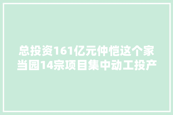 总投资161亿元仲恺这个家当园14宗项目集中动工投产_亿元_项目 文字写作