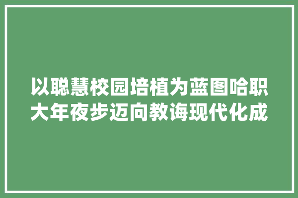 以聪慧校园培植为蓝图哈职大年夜步迈向教诲现代化成长之路_华为_聪明 计算机