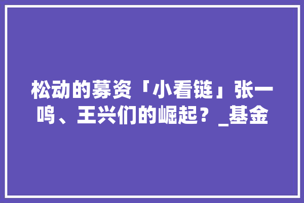 松动的募资「小看链」张一鸣、王兴们的崛起？_基金_中国 计算机
