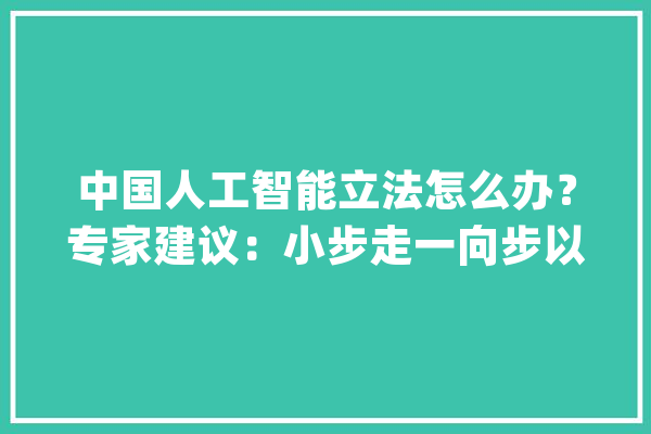 中国人工智能立法怎么办？专家建议：小步走一向步以促进家当成长为主_人工智能_司法 智能助手