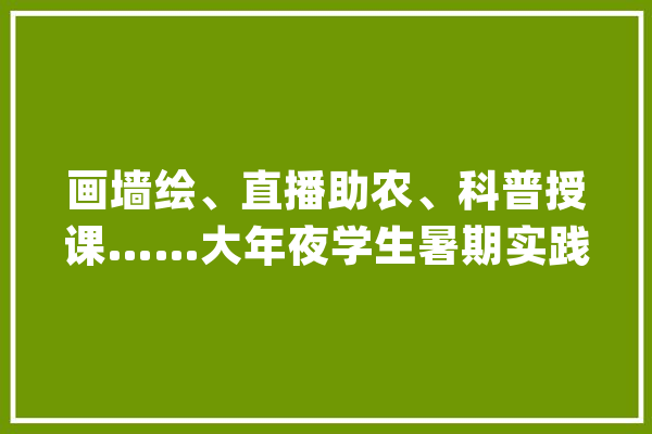 画墙绘、直播助农、科普授课……大年夜学生暑期实践助力村落振兴_村_百色