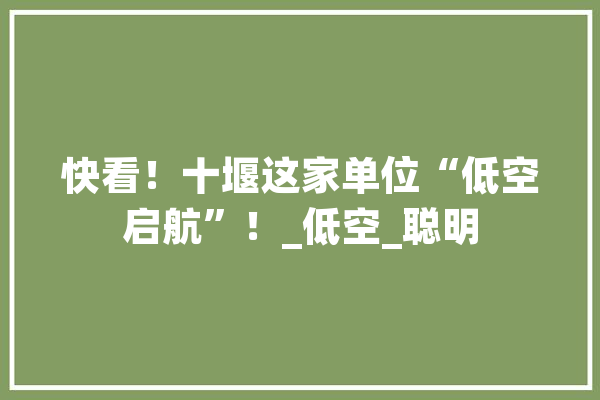 快看！十堰这家单位“低空启航”！_低空_聪明
